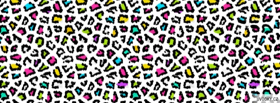 colorful-leopard-724