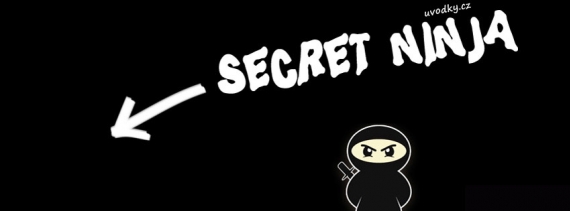 secret-ninja-635