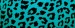 blue-leopard-722